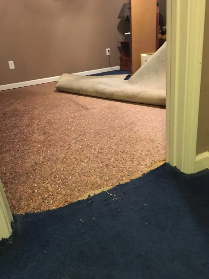 Carpet pad removal revealing water damage during Drying & Dehumidification in Alvin