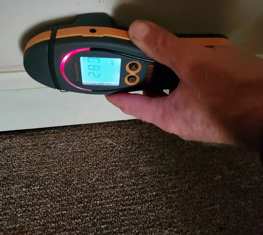 Moisture detection at baseboard during Burst Pipe Cleanup in Alvin