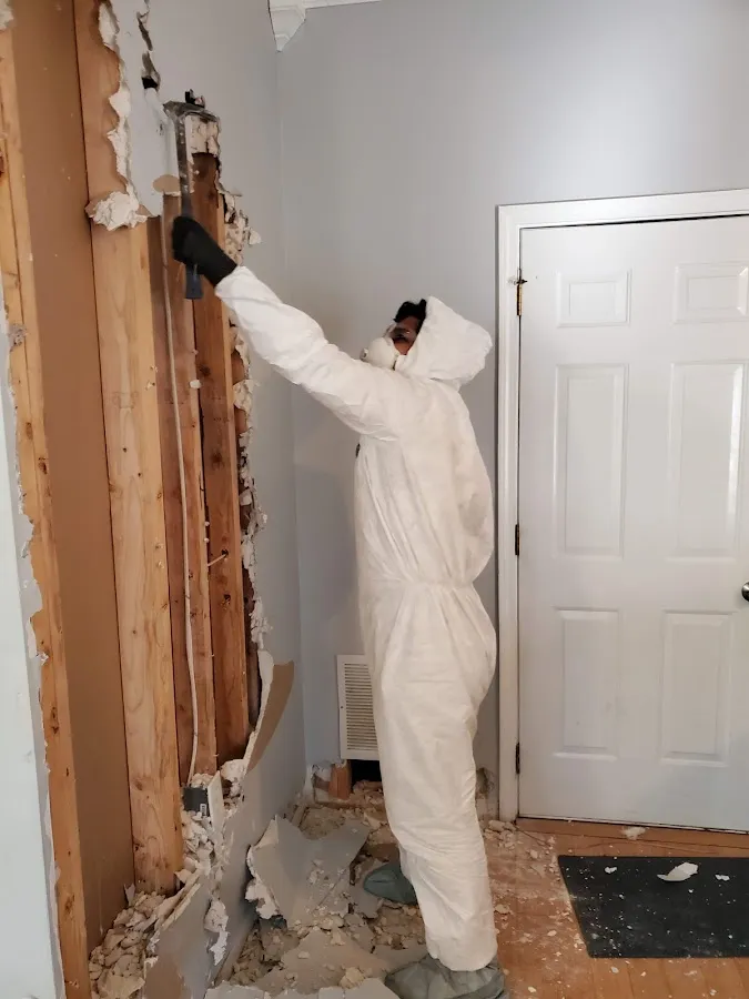 Water Damage Restoration services in Alvin, TX